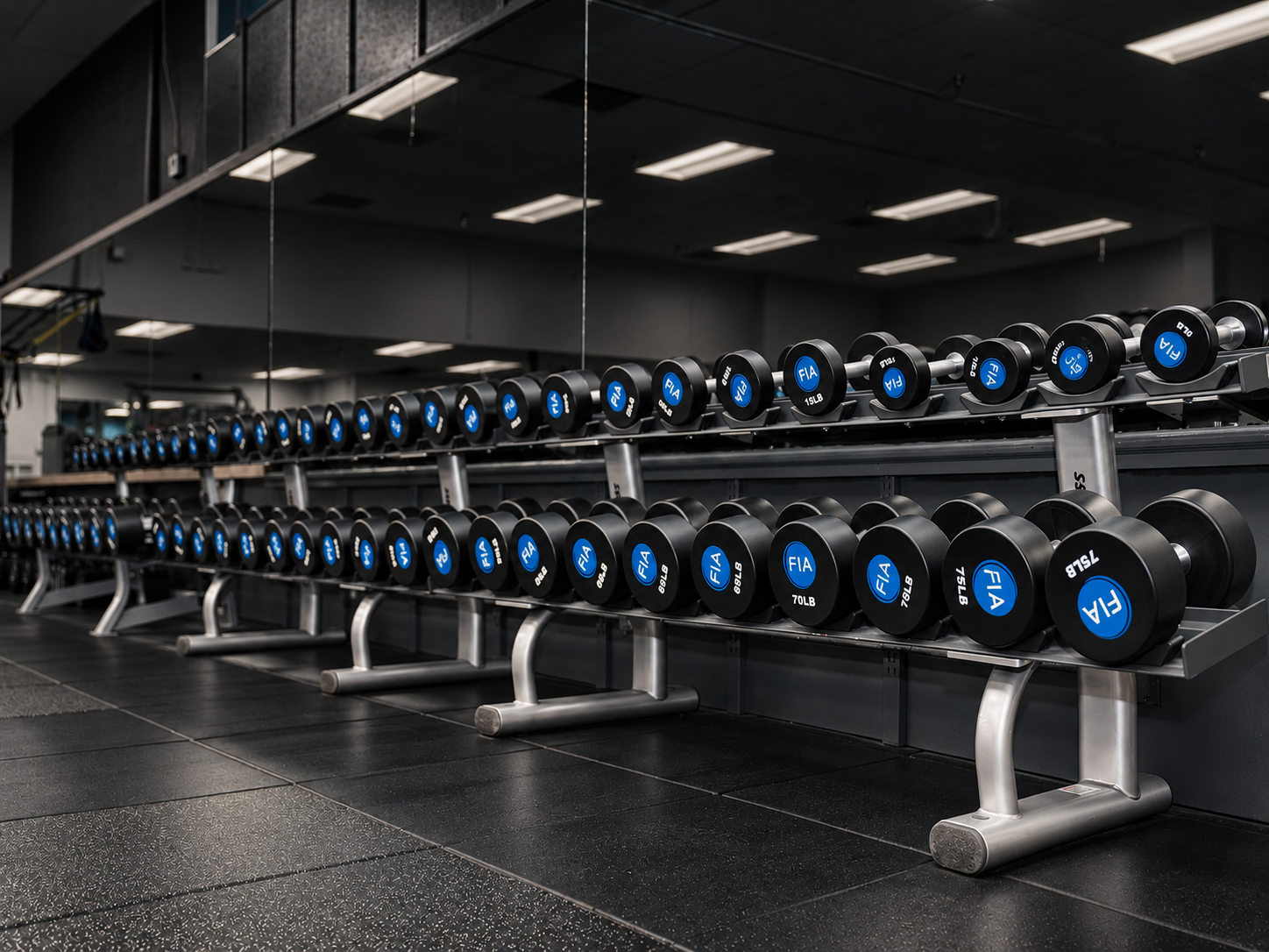 Full dumbbell rack