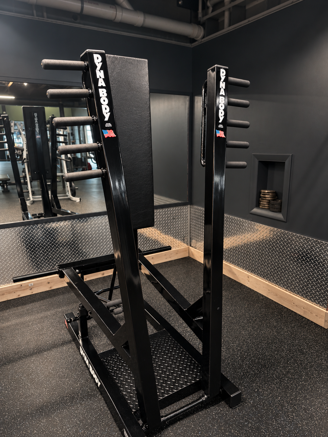 DynaBody standing chest press