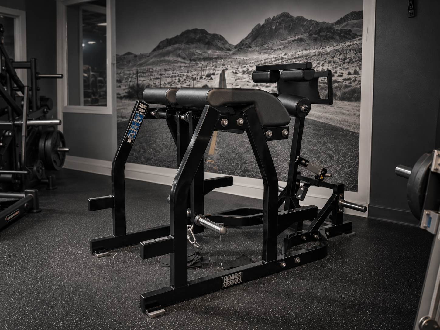 Hammer Strength glute ham / reverse hyper