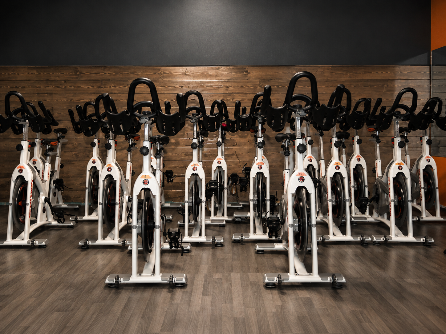 Row of spin bikes