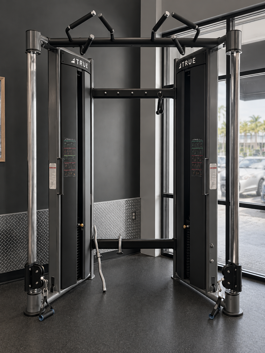 TRUE Fitness functional trainer