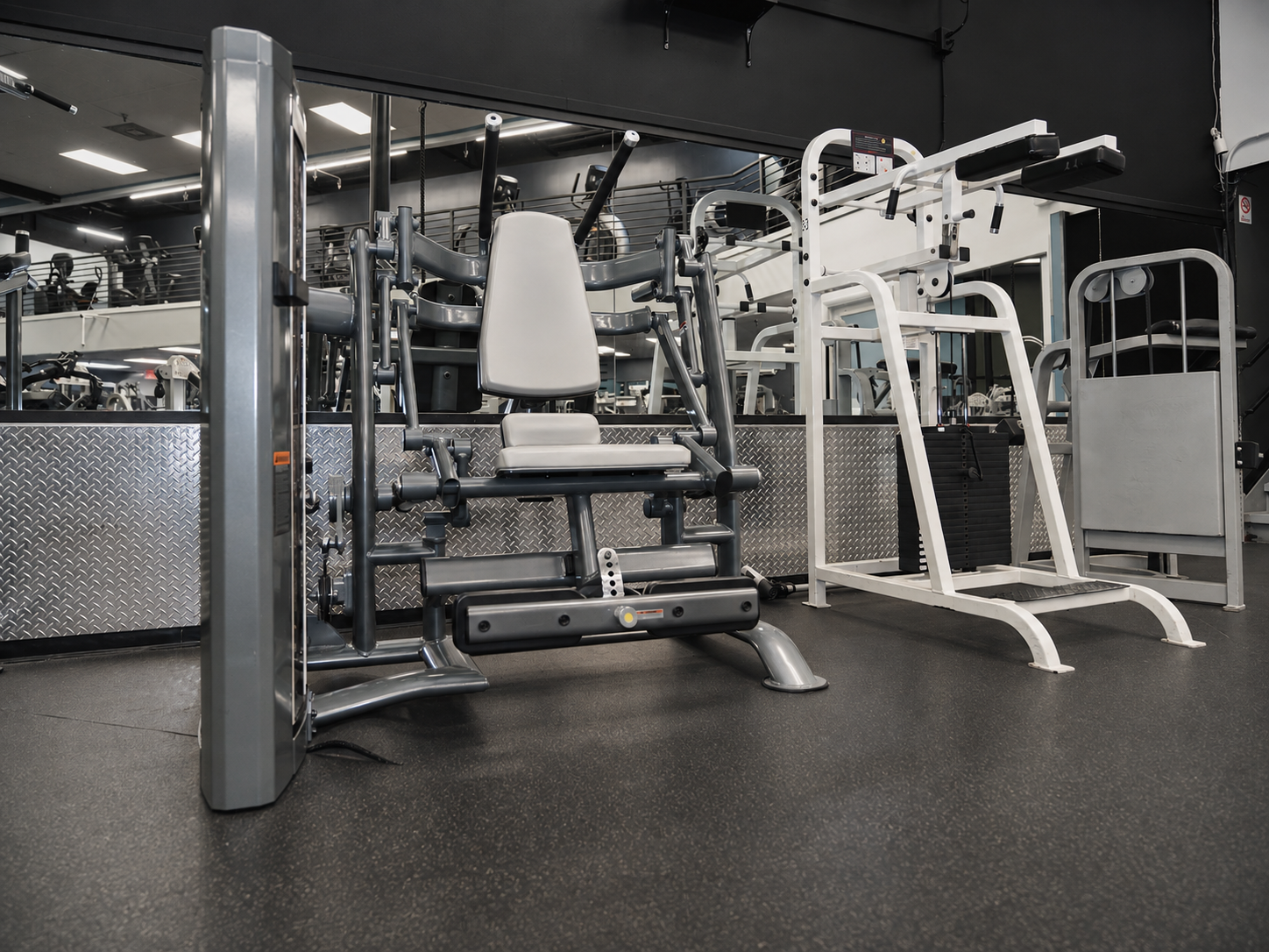 TRUE Fitness Palladium ab crunch machine