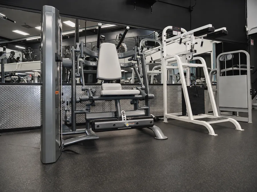 TRUE Fitness Palladium ab crunch machine