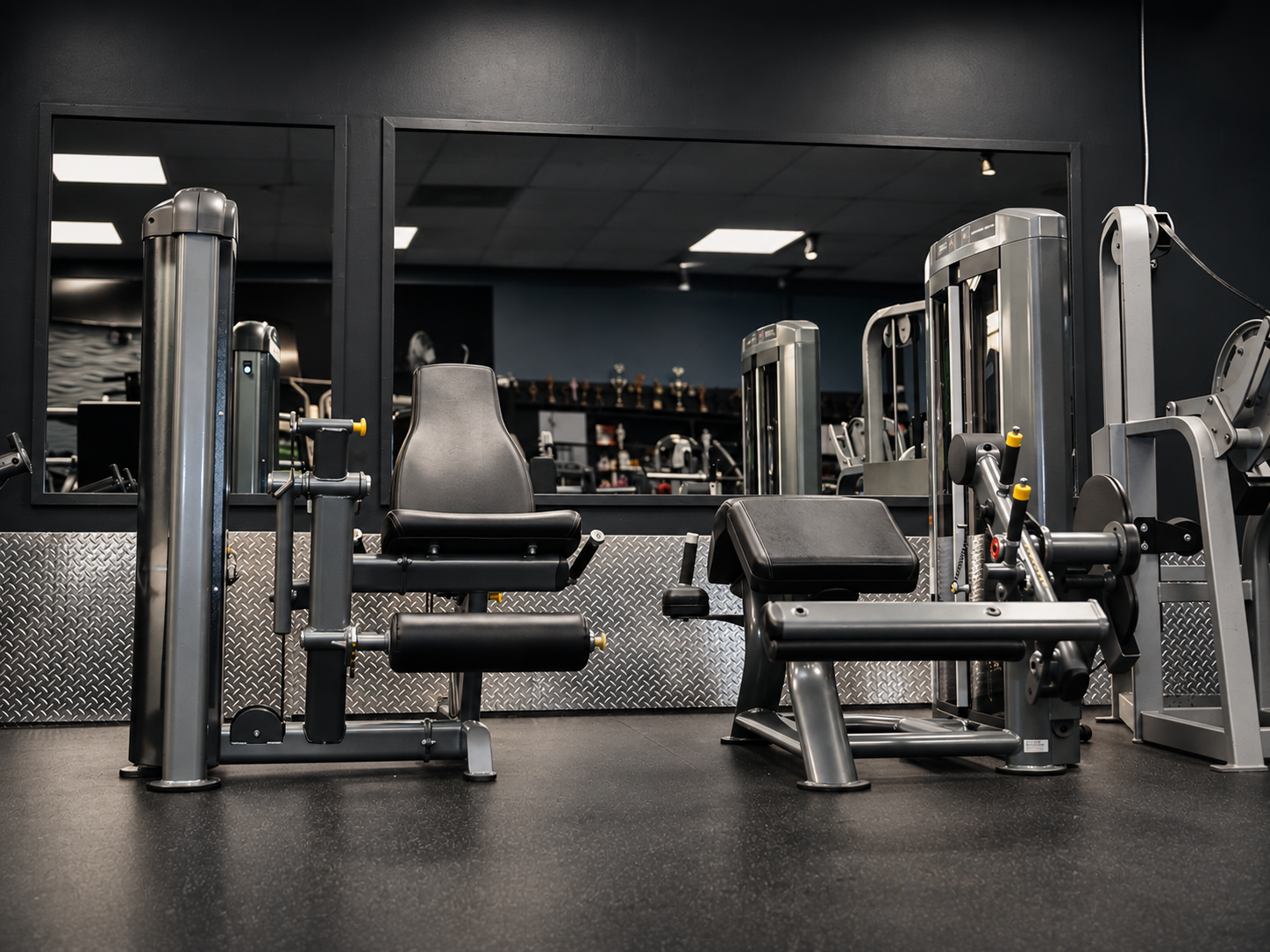 TRUE Fitness Palladium leg machines