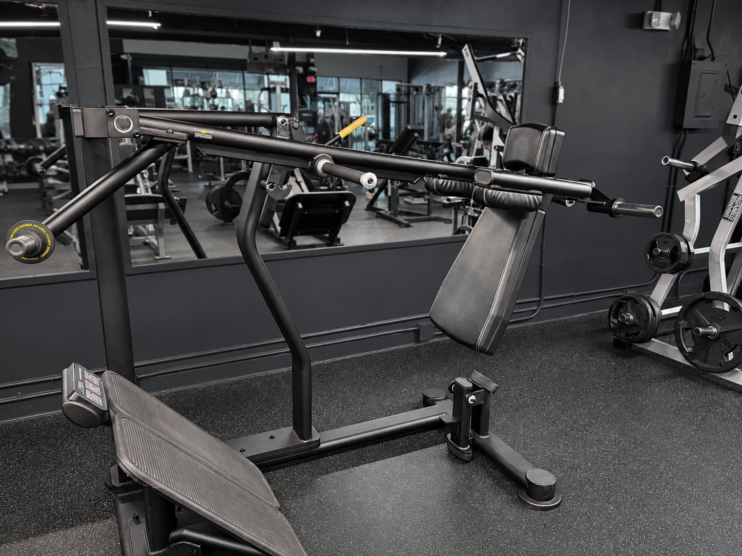 TRUE Fitness Palladium pendulum squat