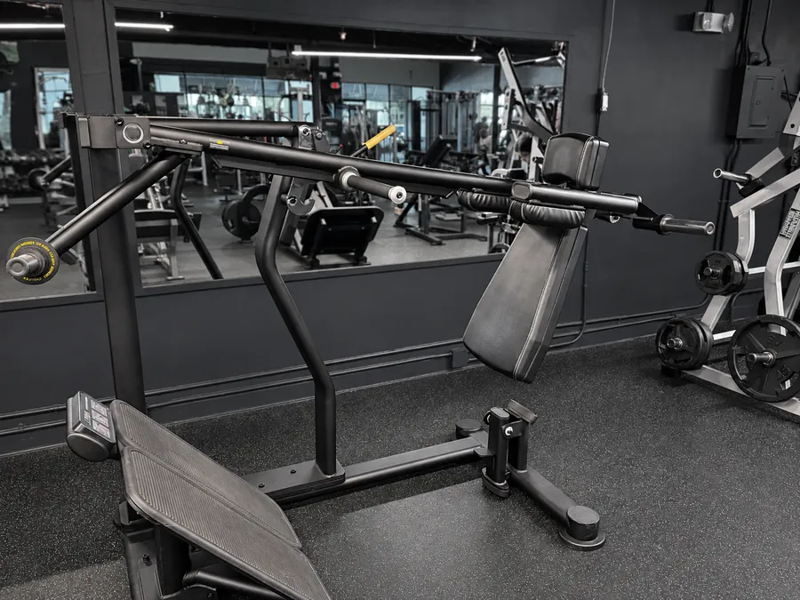 TRUE Fitness Palladium pendulum squat