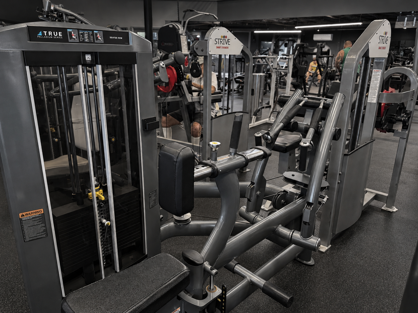 TRUE Fitness Palladium seated row